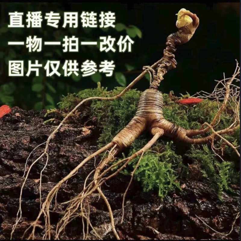 长白山 原产地 现挖现卖 高年份 林下参 人参  生晒参 改价链接二