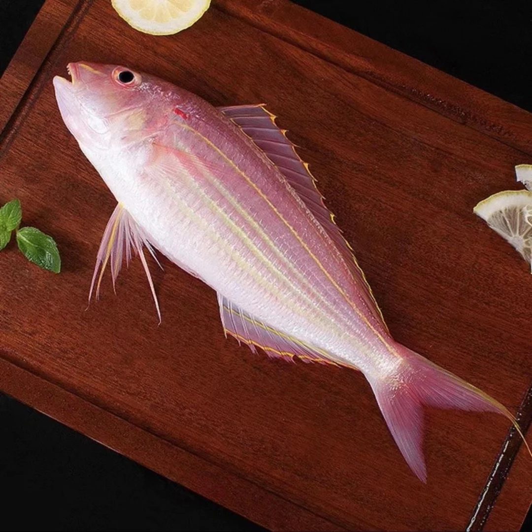 速冻 广东博贺港海钓金丝鱼（约250克/条）冷链发货