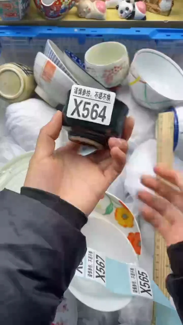 【闪购商品】陶瓷X564