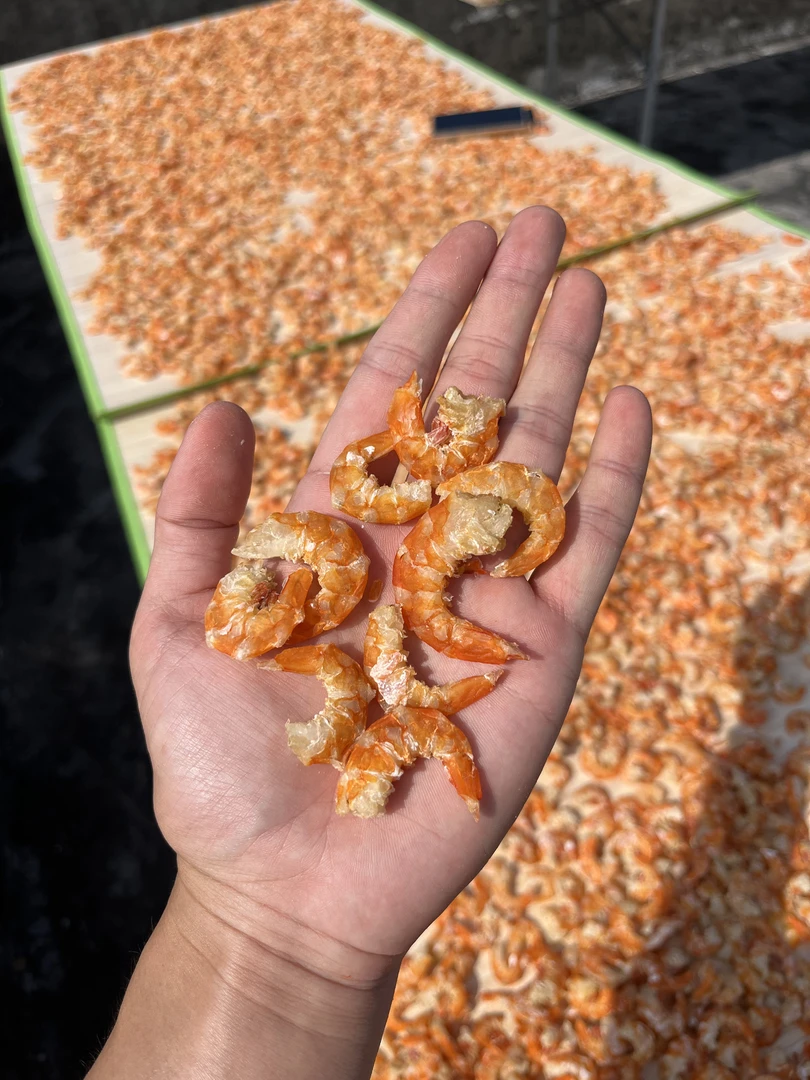 北海野生麻虾米 特大虾仁干货