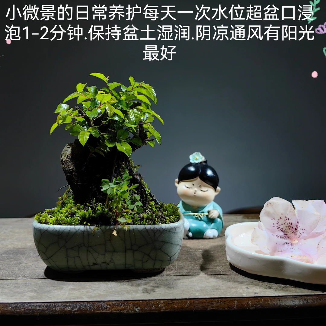 直播间室内一物一拍补差价专用链接老桩