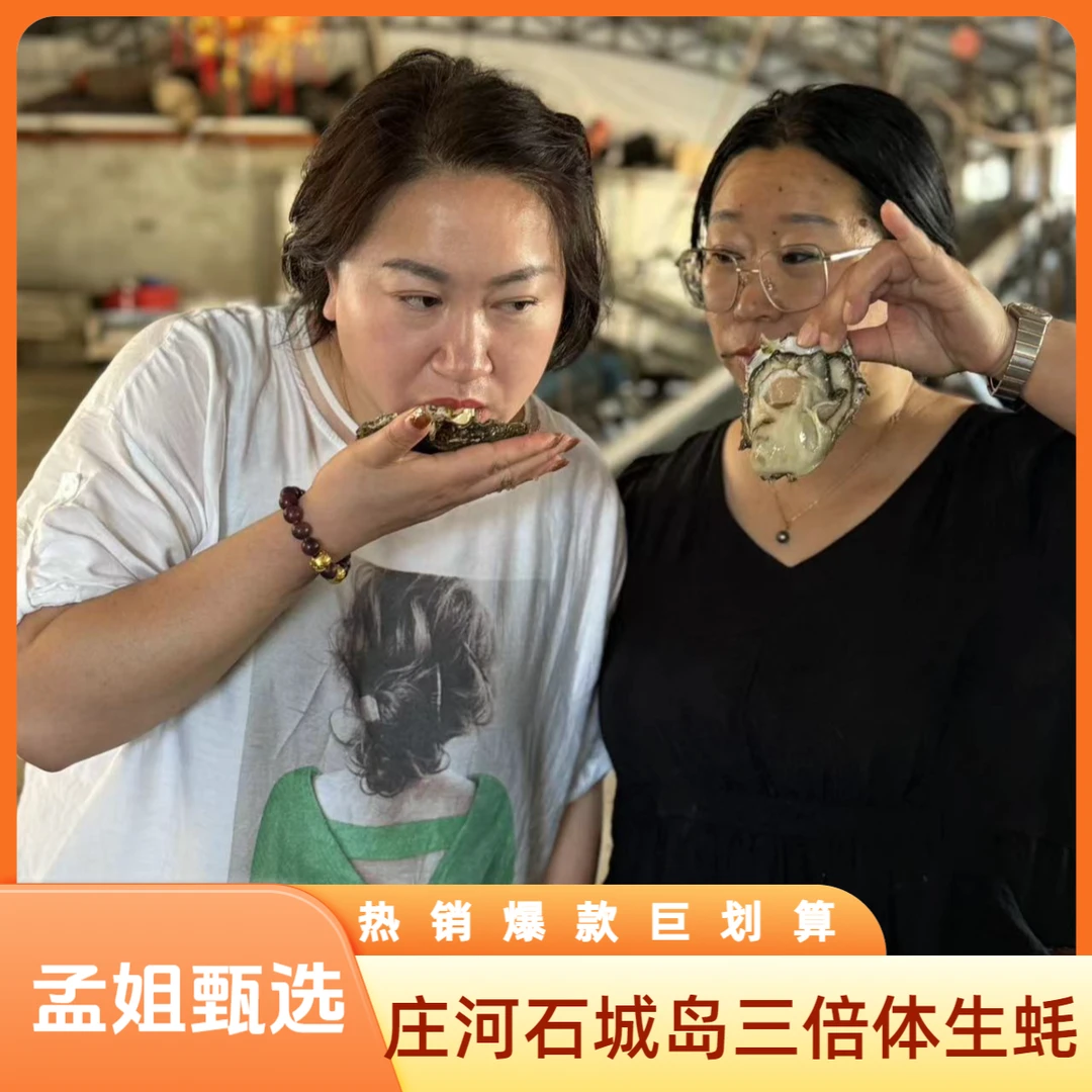 庄河石城岛生蚝 48.8到手5斤，12只左右 只卖辽宁省内