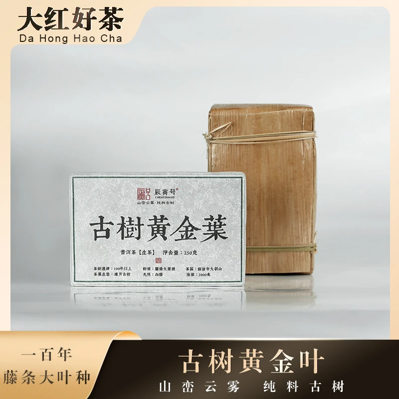云南临沧产区大朝山藤条古树黄金叶250克砖