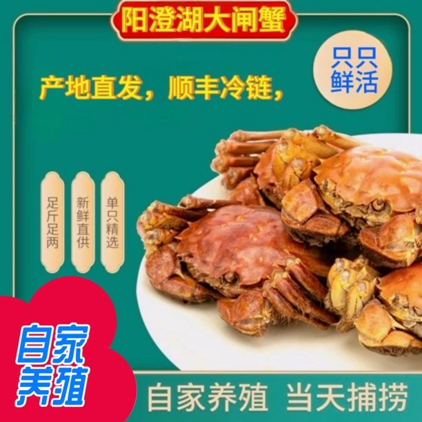 阳澄湖大闸蟹塘蟹鲜活现发4两公3两母5对十只礼盒装