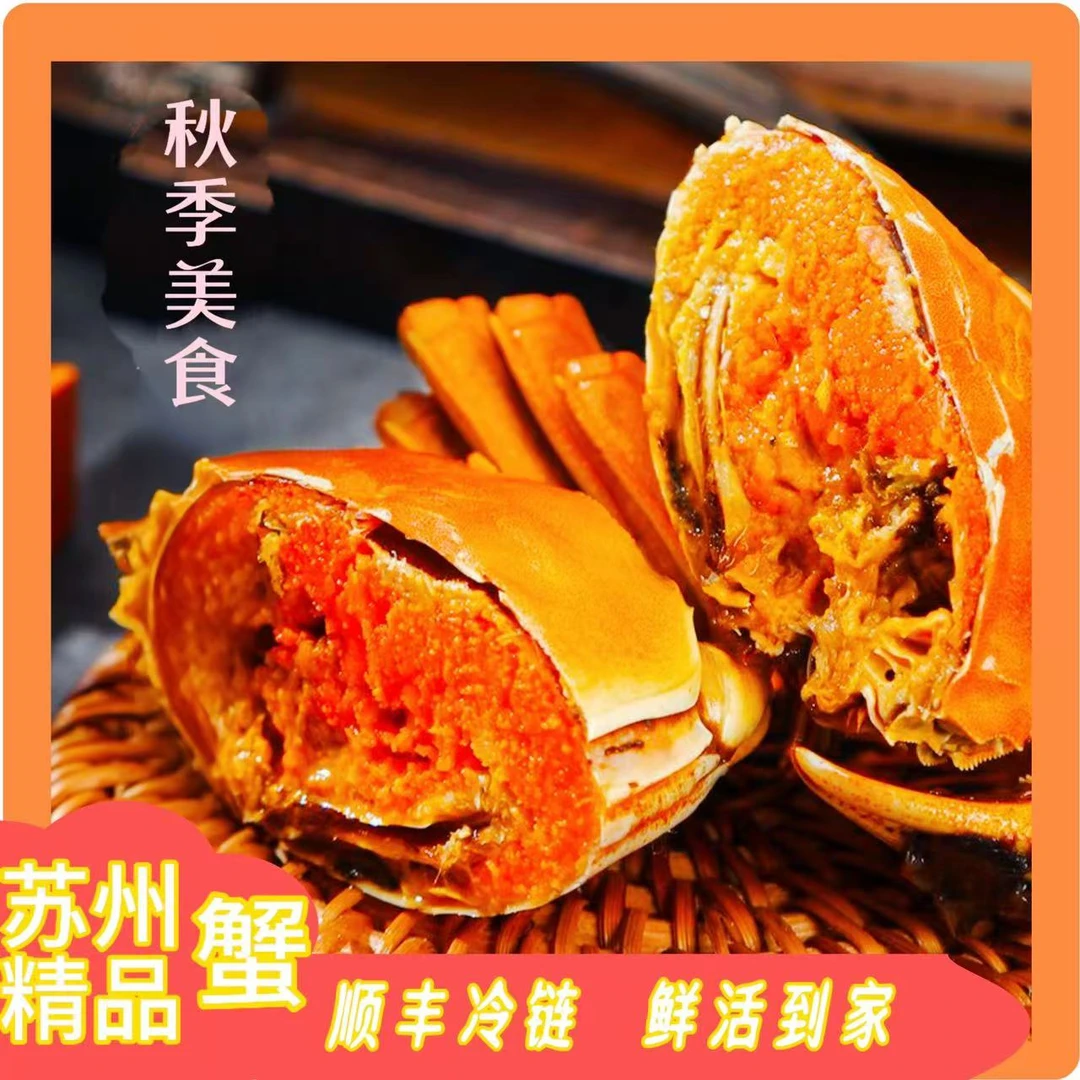 苏州鲜活螃蟹公蟹4.1-3.8两母蟹3.1-2.8两买8送2到手10只礼盒装