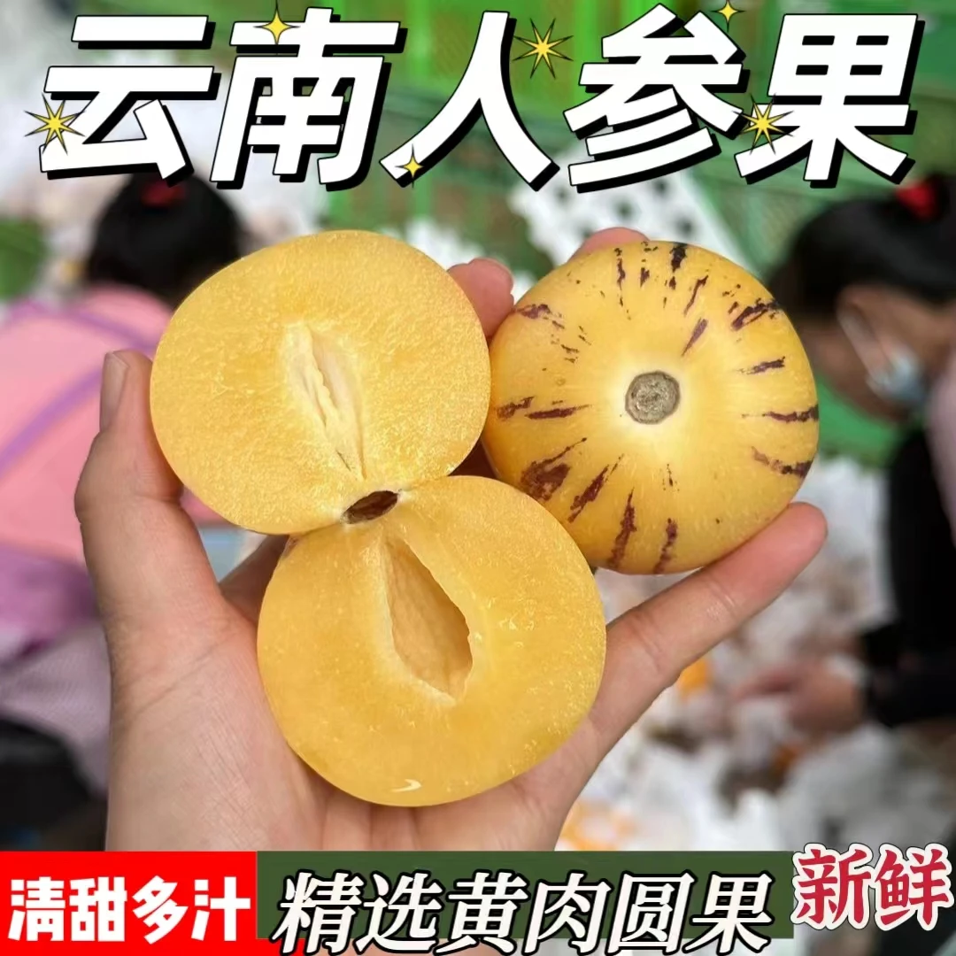 云南石林人参果水果新鲜应季现摘香甜圆果黄肉黄心树上熟