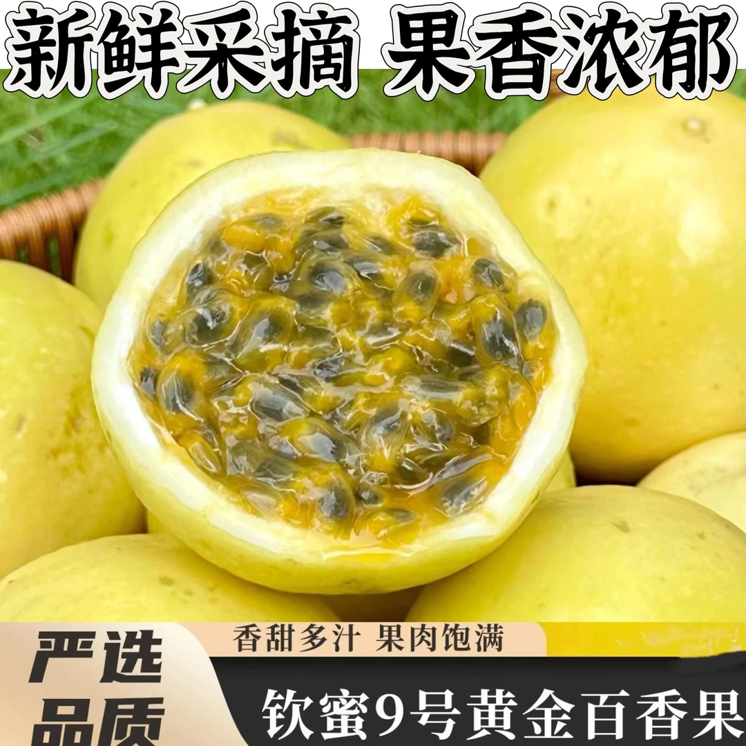 纯香果（夏日尝鲜）钦蜜九号黄金百箱果新鲜水果当季包邮香甜多汁