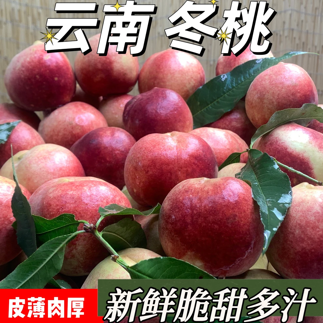 【抢购】云南冬桃现摘脆甜蜜雪冬桃毛桃新鲜水果黄桃水蜜油桃整箱