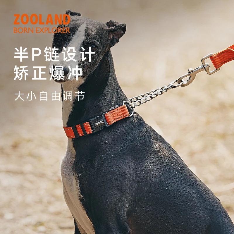 zooland域揽狗狗半P链项圈防爆冲遛狗小中大型犬金毛柯基训练脖圈
