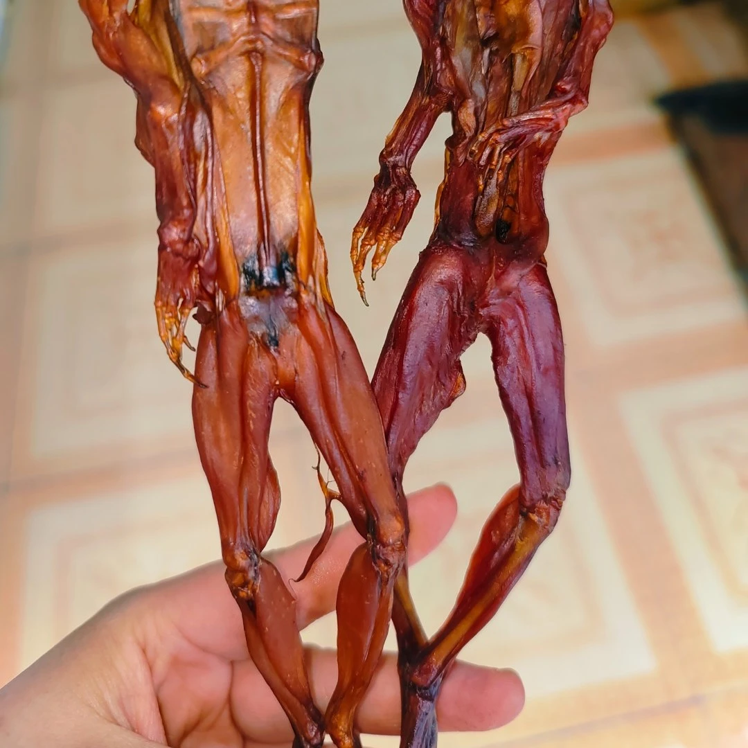 沩江腊牛蛙散装500g干锅牛蛙火锅个头大