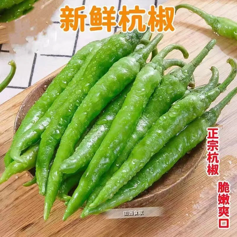 新鲜青辣椒现摘青辣椒香辣青皮辣椒辣妹子青尖椒虎皮辣椒1/2/3斤