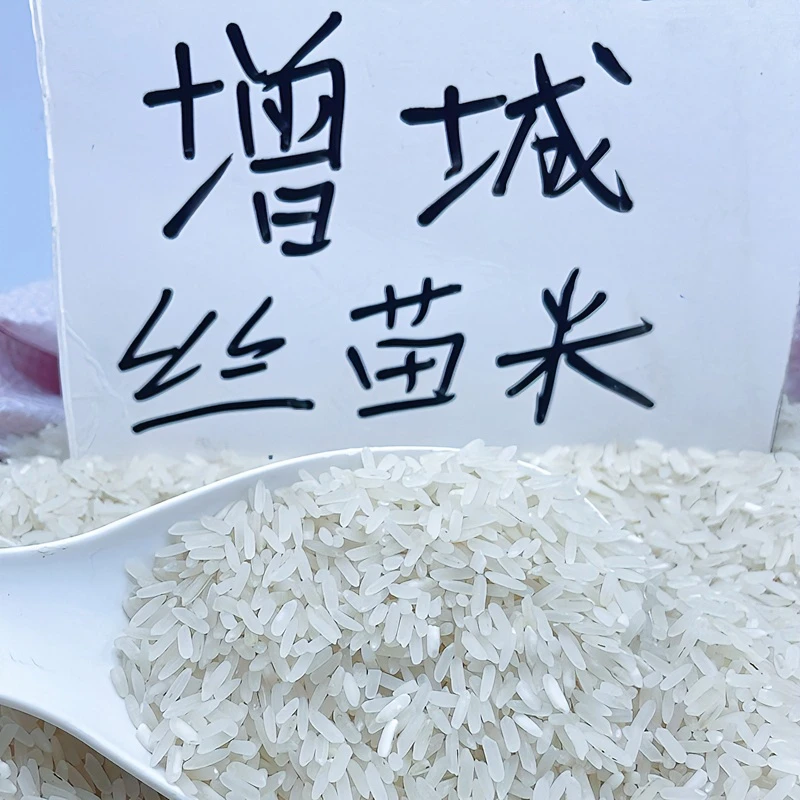 广东挂荔增城丝苗米农家米2024年七月新米猫牙米5kg长米5斤装好吃