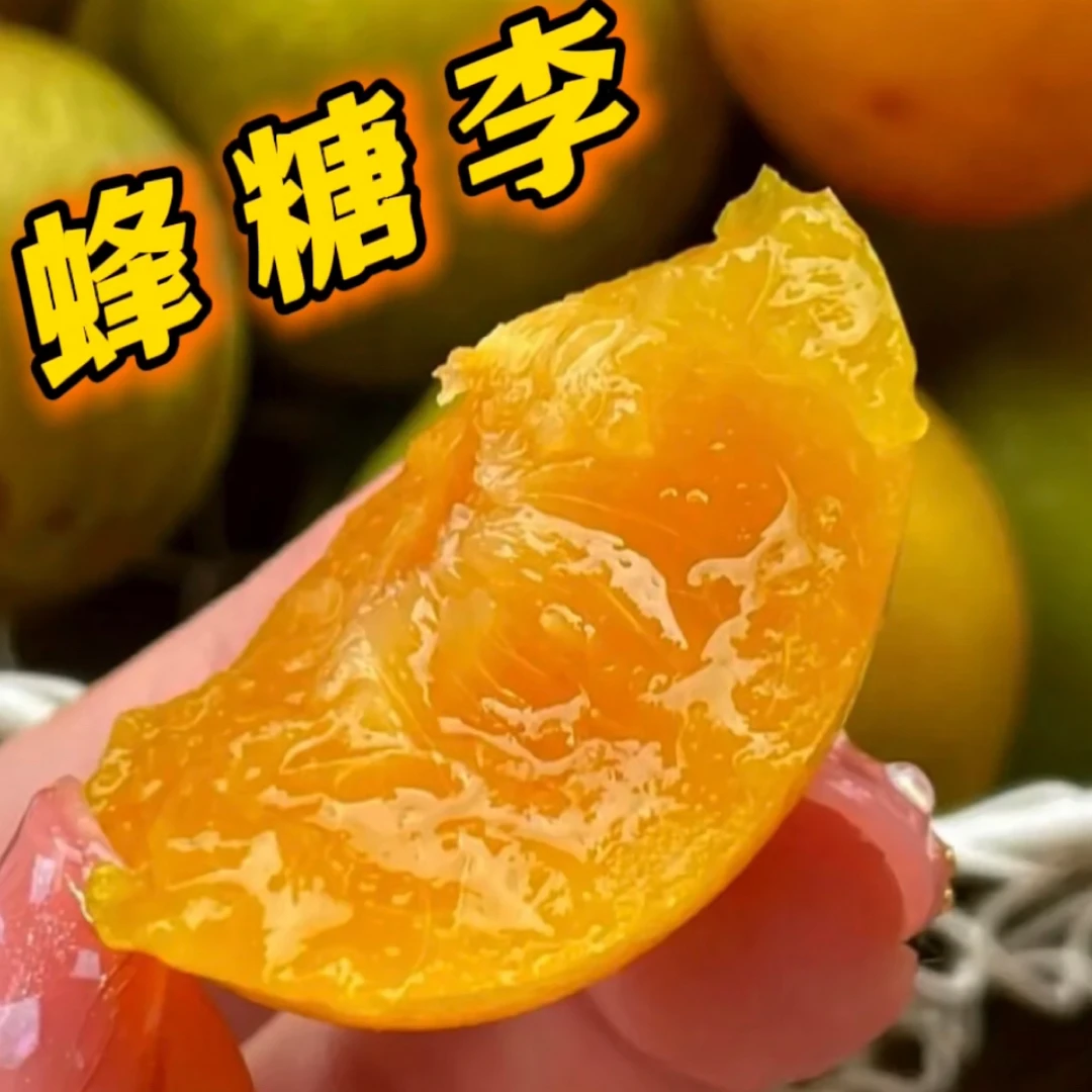 蜂糖李嫁接苗、成熟期6-7月、南北均可种植、送种植管理资料、