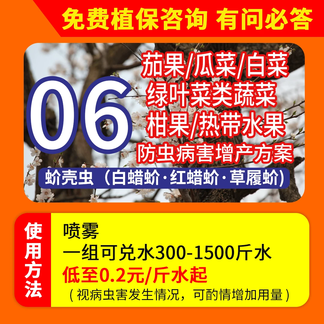 【方案06】茄果瓜菜白菜绿叶菜类蔬菜柑果防虫病增产方案磷钾叶面肥