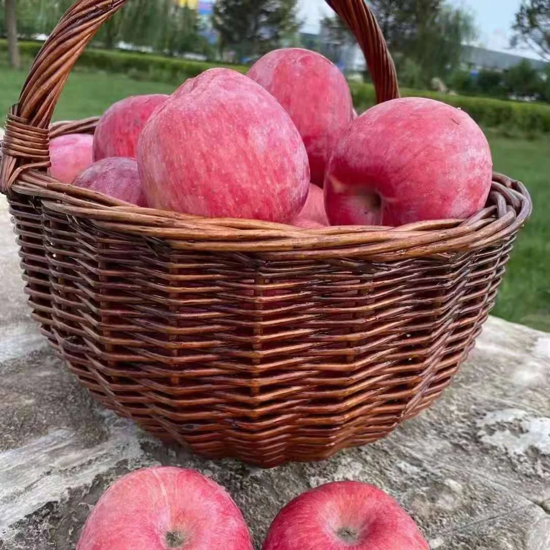 【鸿宝旺】洛川红富士苹果 80#24枚装