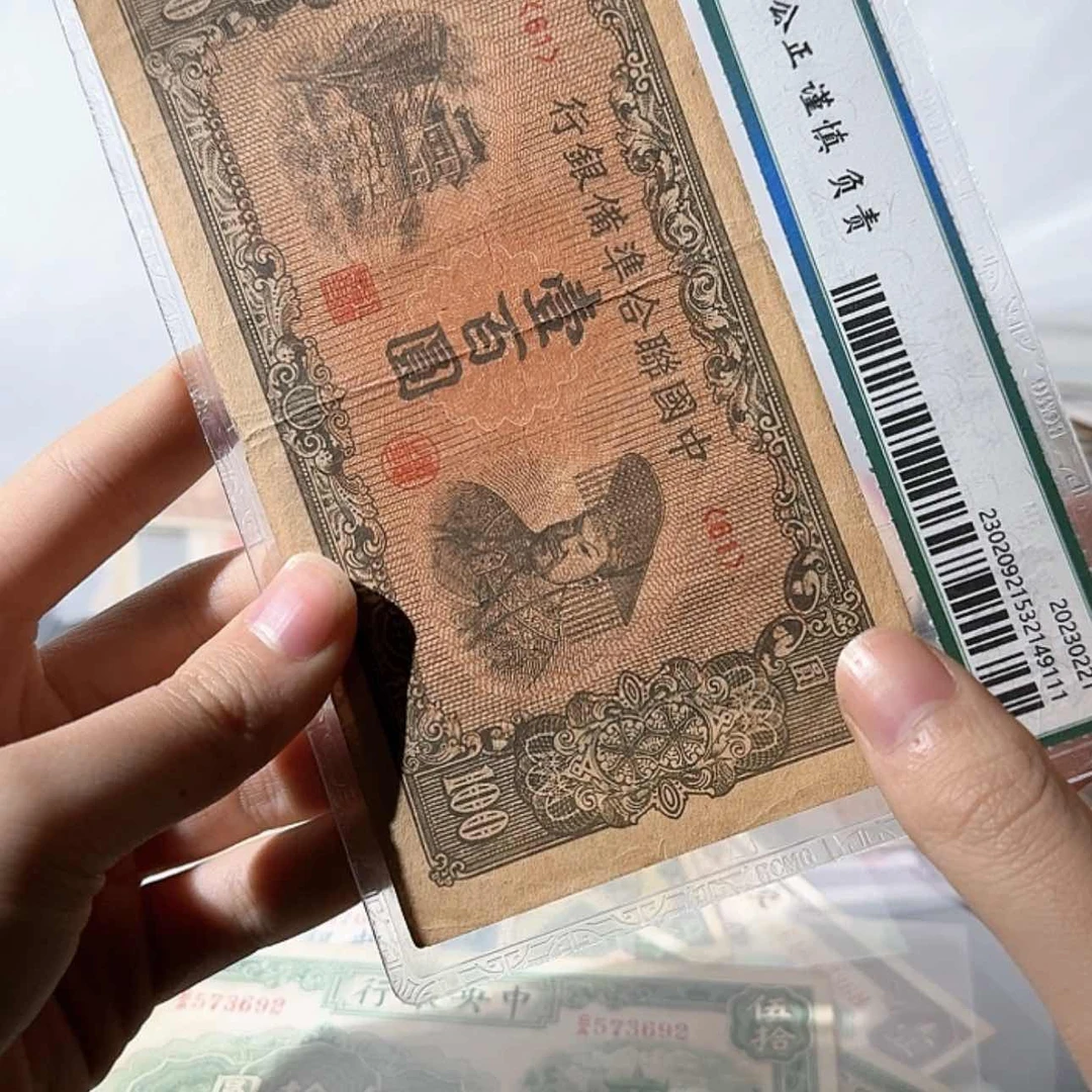 【闪购商品】10纸币