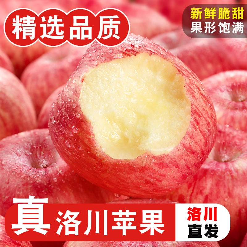 正宗陕西洛川苹果红富士冰糖心苹果产地直发脆甜多汁现摘现发好吃