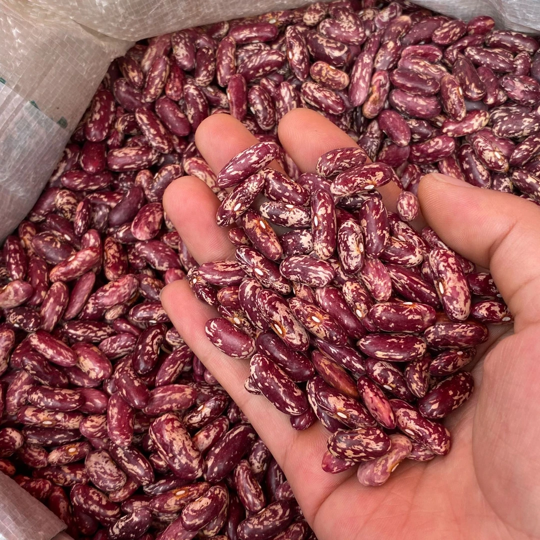 贵州农家花豆 花豆子芸豆五谷豆农家四季豆