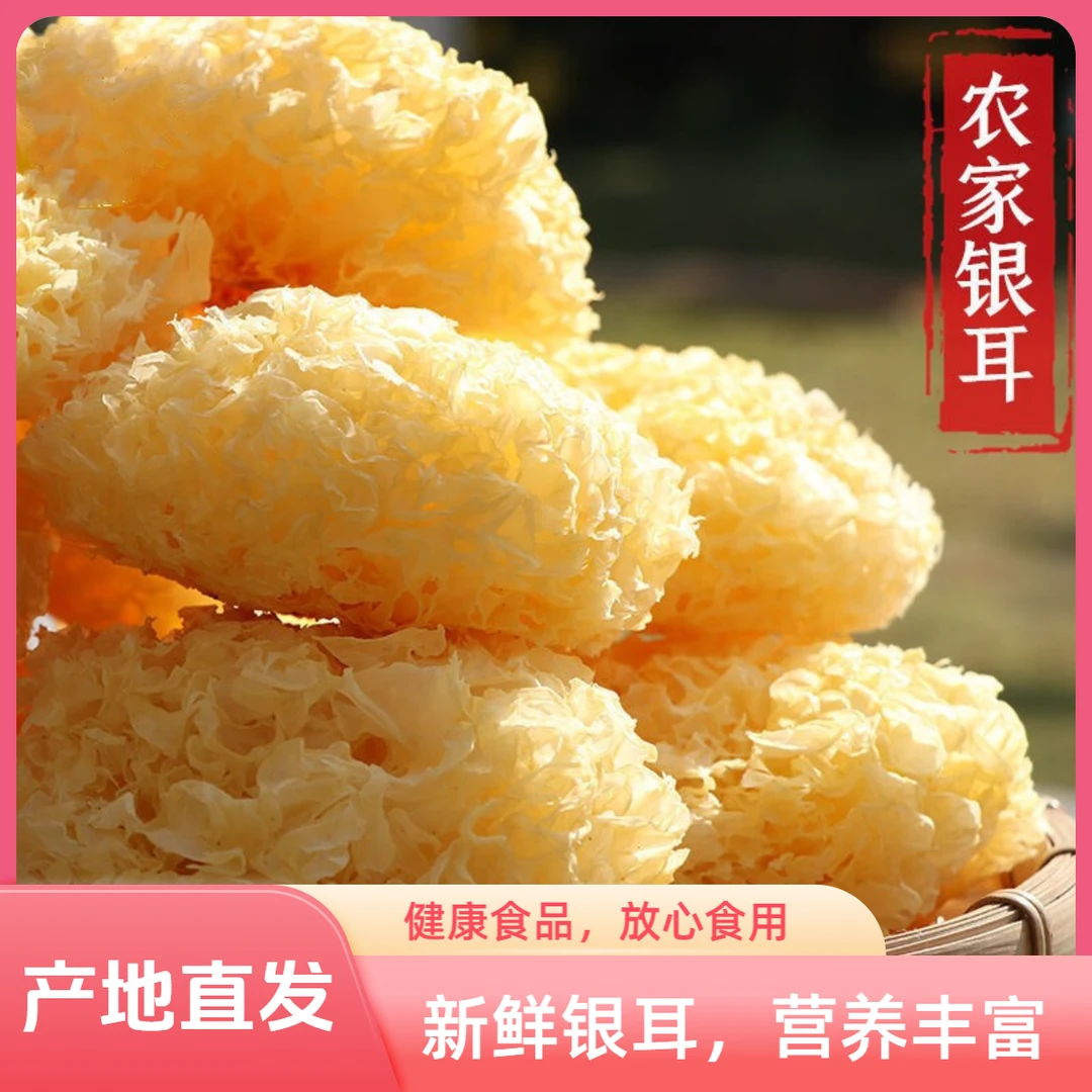 【无熏硫新货净重】古田好银耳干货特产大花银耳大朵雪耳煮汤