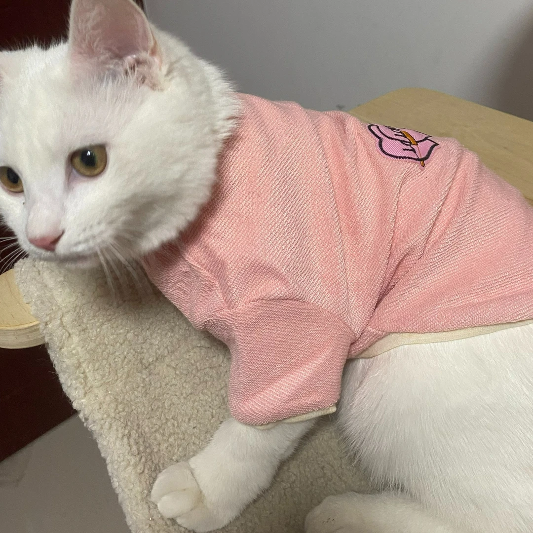 猫狗宠物衣服粉线圈-店铺下单两件起包邮(no退no换)误差2cm左右