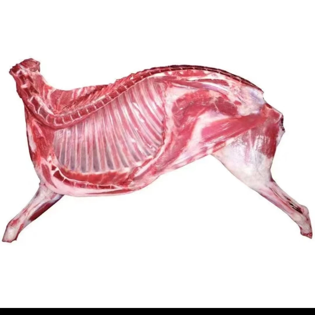 新疆于田正宗半只羊肉/当天屠宰/新鲜鲜肉/顺丰空运分割发货