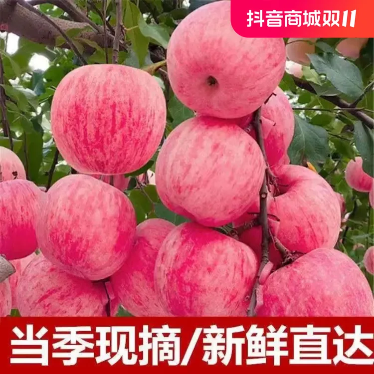 【超低价】陕西冰糖心红富士苹果当季水果新鲜