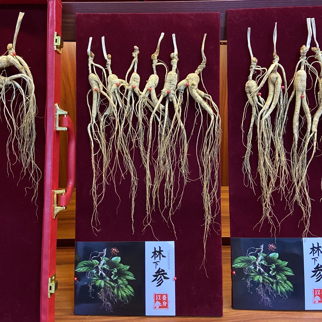 东北特产长白山人参晒参林下参 50克初级农副产品