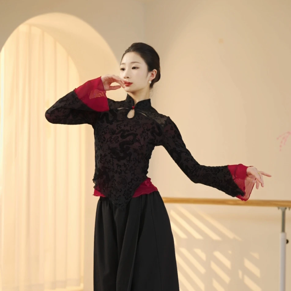 古典舞服装跳舞飘逸纱衣舞蹈服上衣女长袖修身中式春款形体练功服