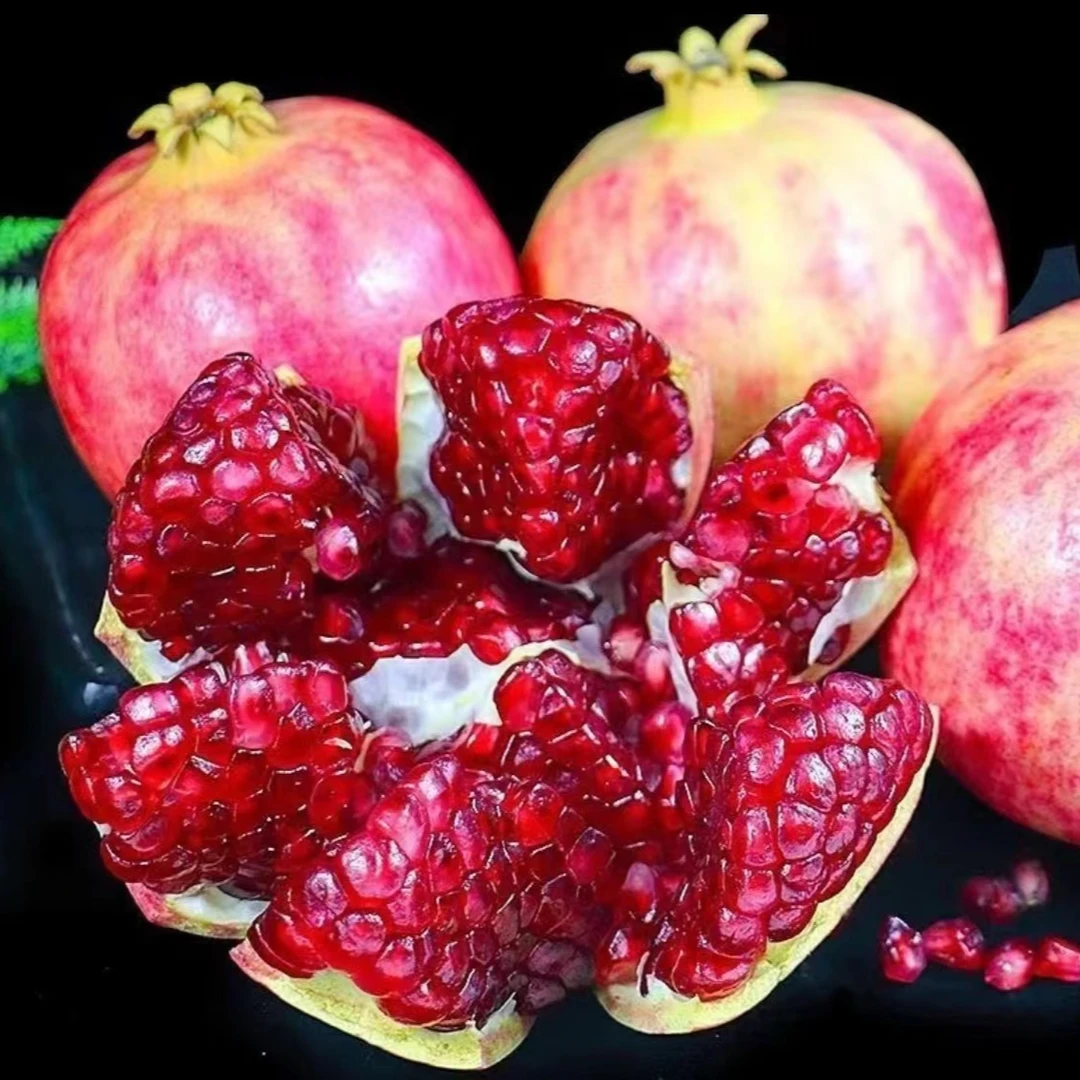 【四川会理】突尼斯软籽石榴新鲜现摘皮薄饱满汁水充足清甜采摘直播