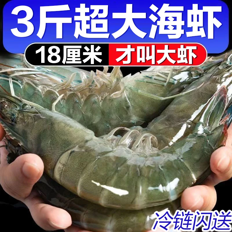 大虾鲜活新鲜超大海捕气冻大虾海鲜水产白虾对虾基围虾海虾不包冰