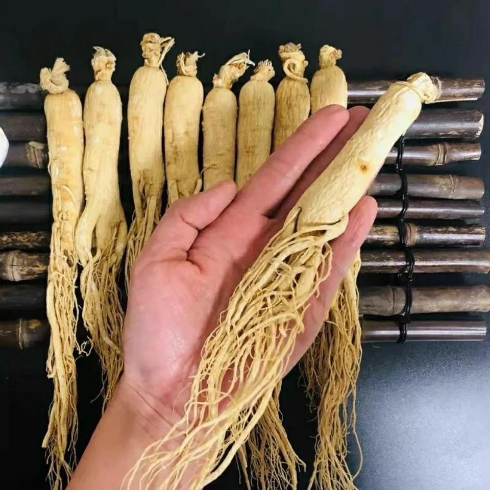 正宗长白山老人参特大整枝生晒参白参干人参泡酒炖汤送礼滋补