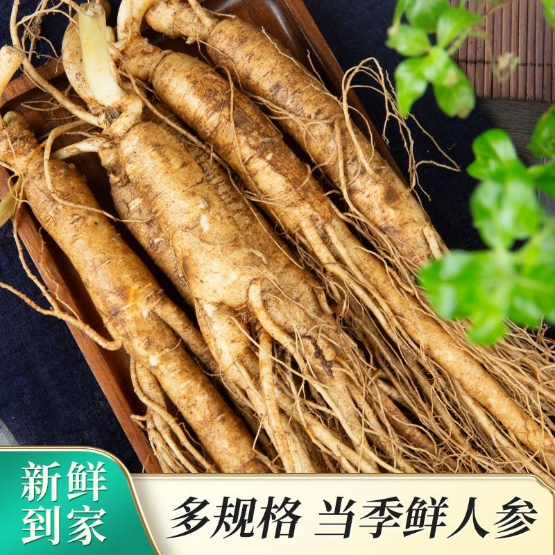 长白山八年二两新鲜人参