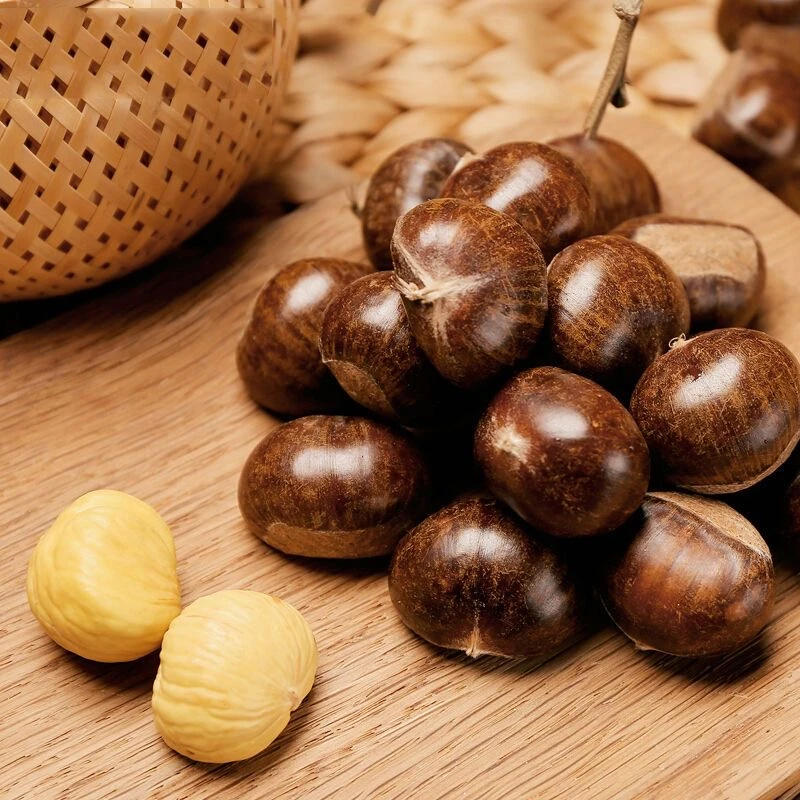 【2025头茬老树油栗】小板栗油栗新鲜小板栗农家老树大板栗山栗子