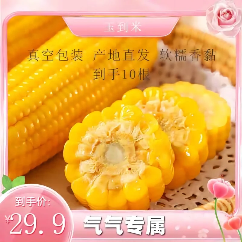 【气气专属】玉到米 东北鲜食黄糯玉米 200g/根 真空非转软糯