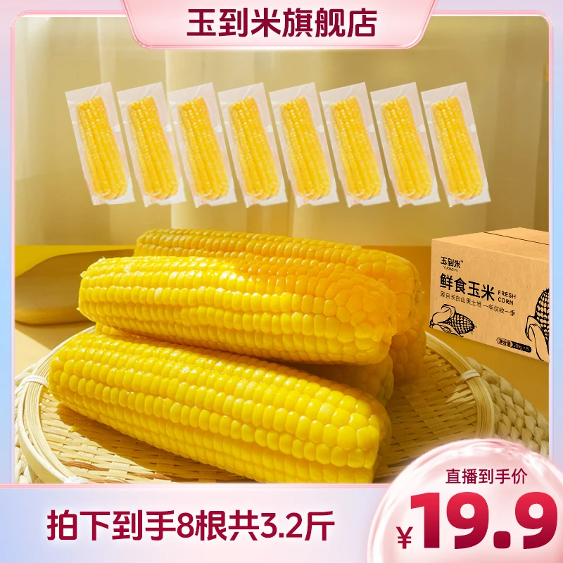 东北鲜食黄糯玉米200g/根 *8根 真空包装北纬蒸煮食用颗粒饱满