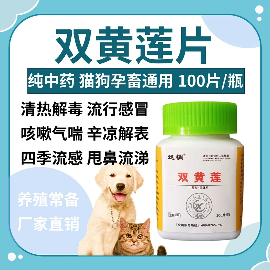双黄莲片宠物犬猫狗狗咔咔咳感冒发烧鼻涕鼻塞咳嗽清热解毒