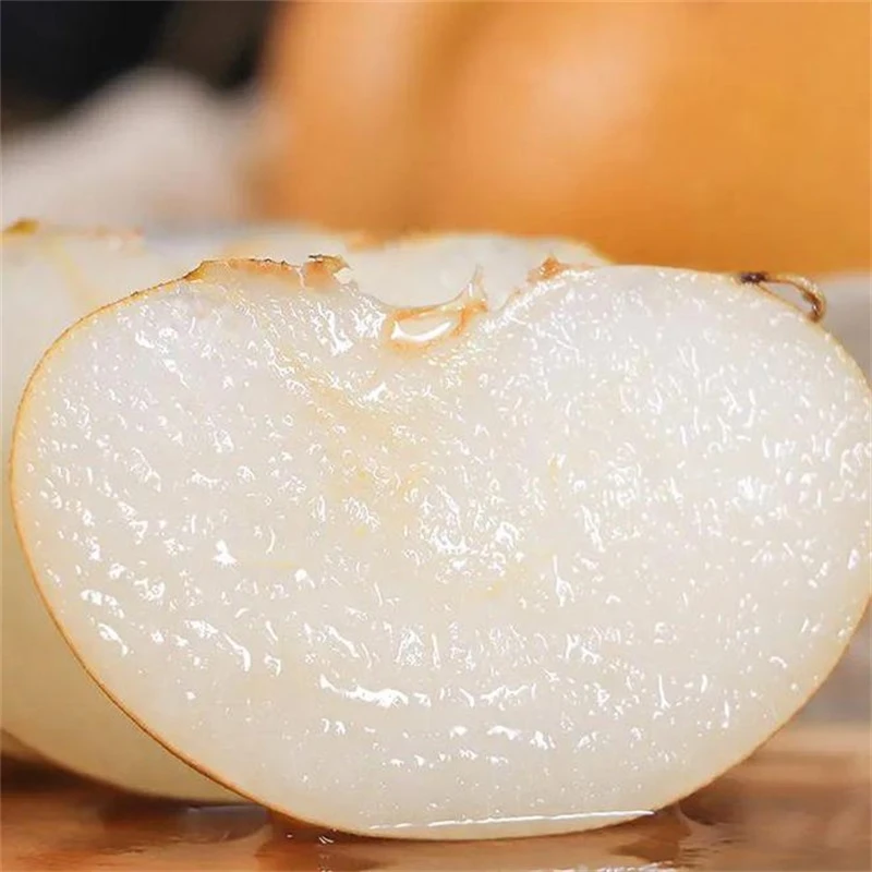 高山金秋梨脆甜爆汁秋月梨砀山丑梨砀山梨砀山梨子砀山梨砀山梨