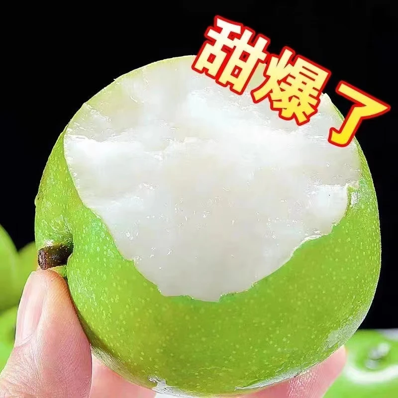 砀山正宗花翠玉梨酥梨青皮蜜梨花皮梨爆甜5/9斤新鲜多汁孕妇儿童
