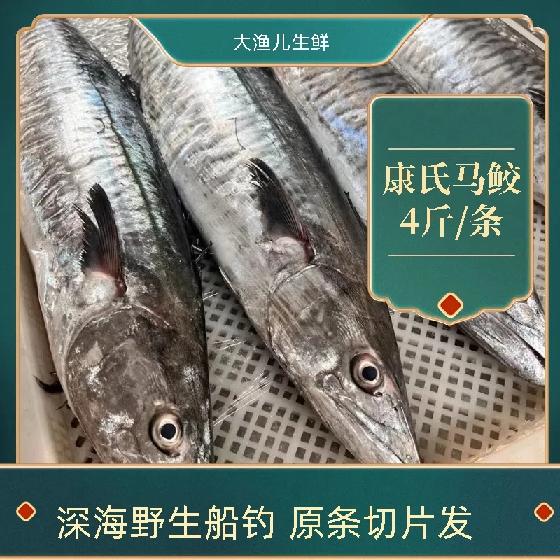 4斤正宗康氏马鲛鱼切片发货海鲜新鲜鲜活速冻深海捕捞