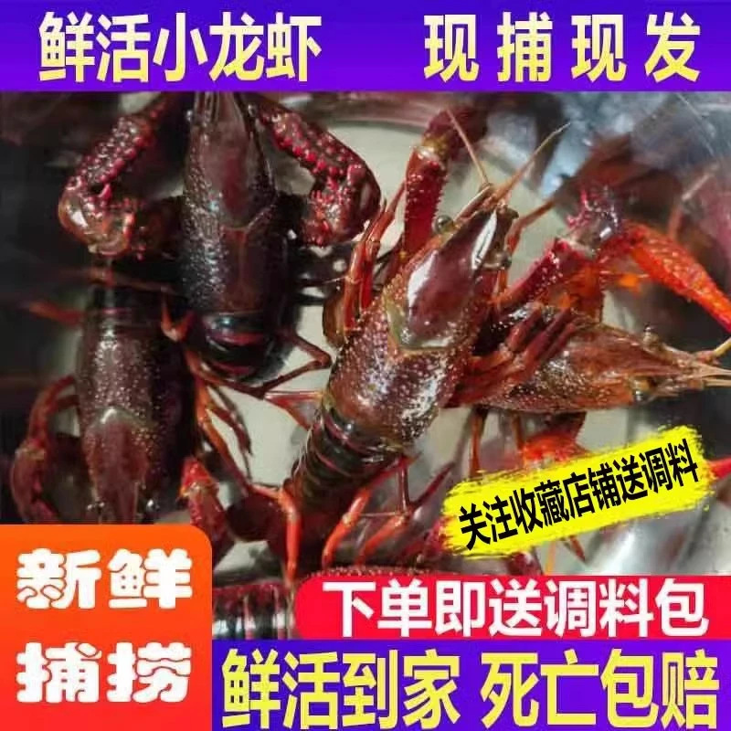 【尝鲜2斤】江苏小龙虾青红虾送料包