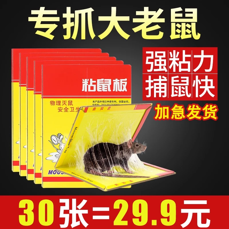 超强力粘鼠板捉粘大老鼠贴沾胶家用室内扑抓逮老鼠粘灭鼠捕鼠