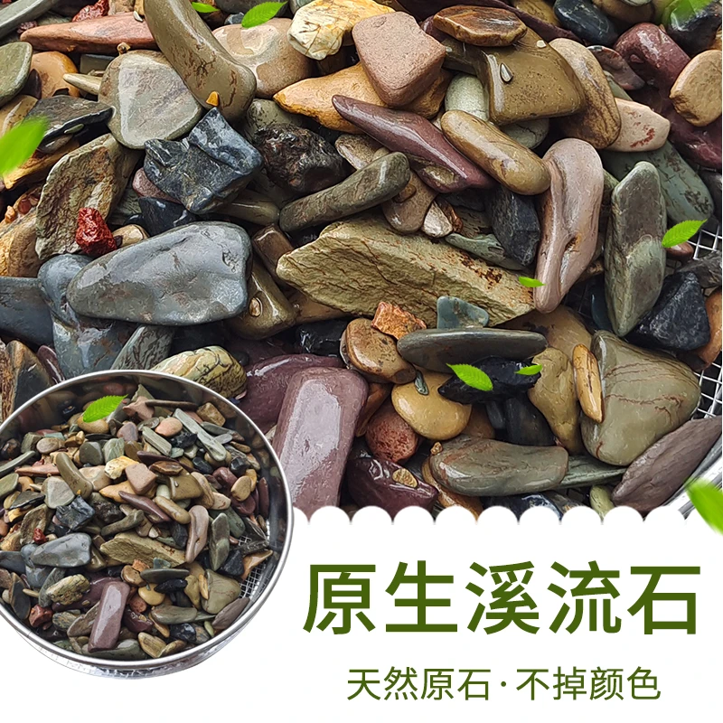 【养鱼啊振】原生溪流石鱼缸造景净化水质鱼体发色