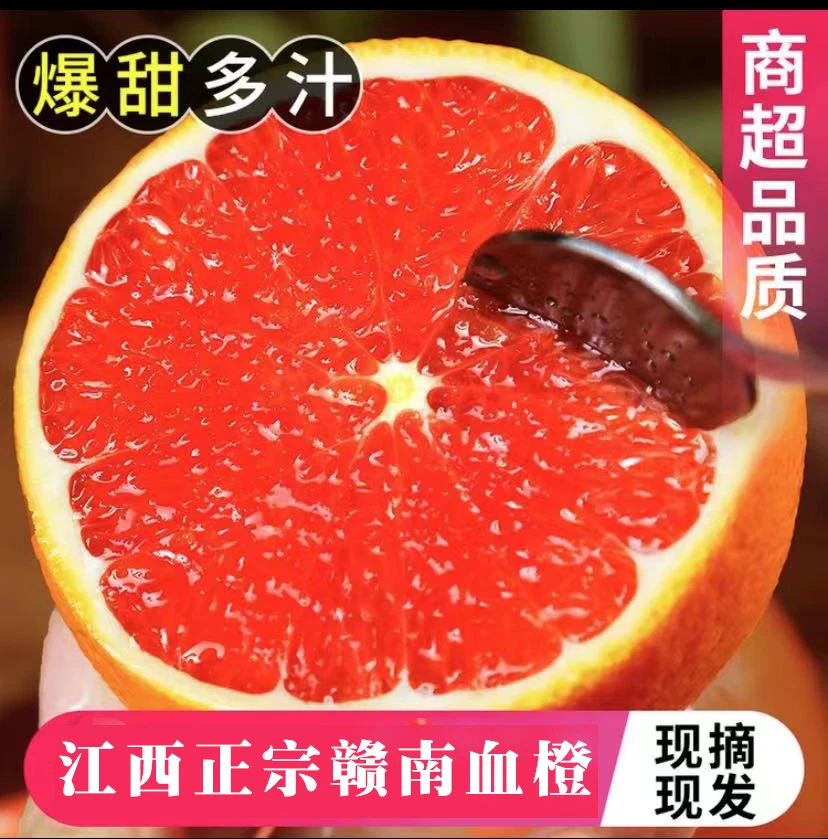 赣南血橙  江西正宗赣南雪橙10斤装果园直发 新鲜水果农家采摘