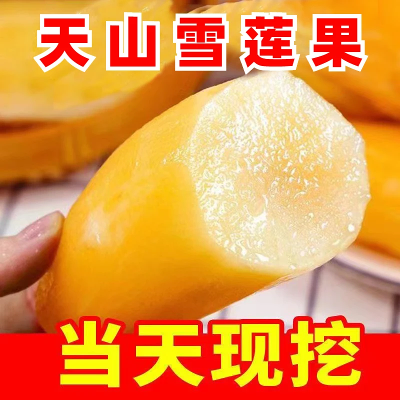 【黄肉黄心】雪莲果现挖产地直发云南应季水果净重5斤中大果包邮