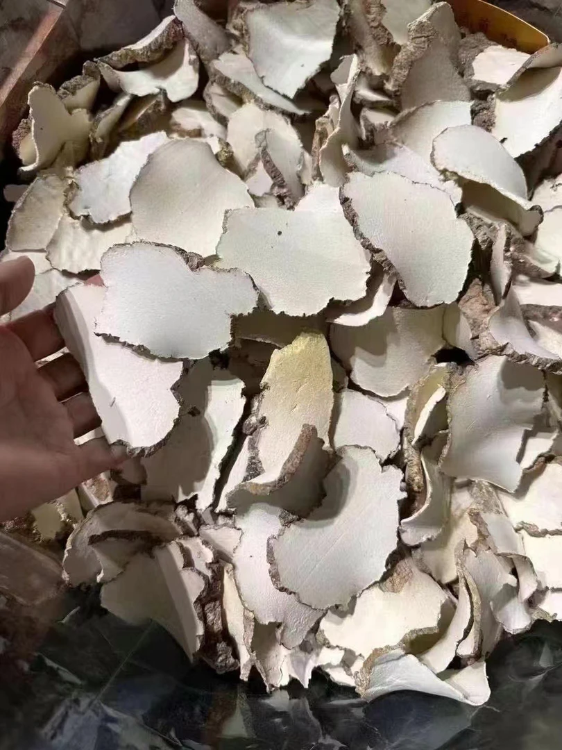 【煲汤】糊乳 【嫂子鱼胶福利】