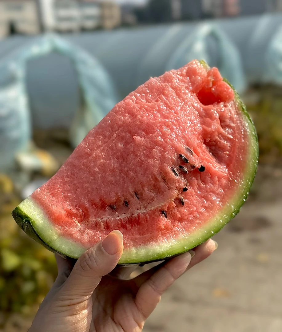 西瓜西瓜同城配