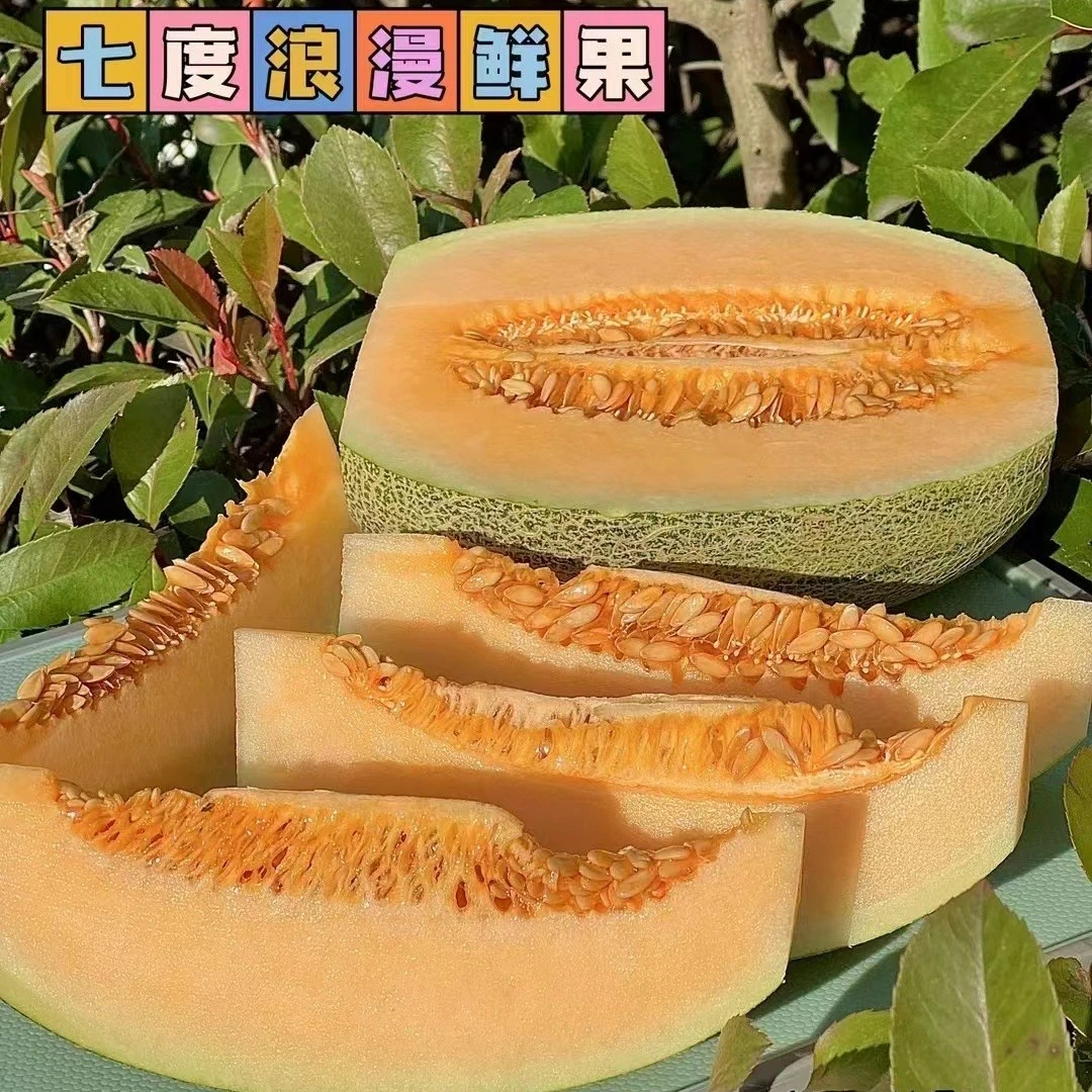 【配送到家】哈密瓜整果一个3斤左右