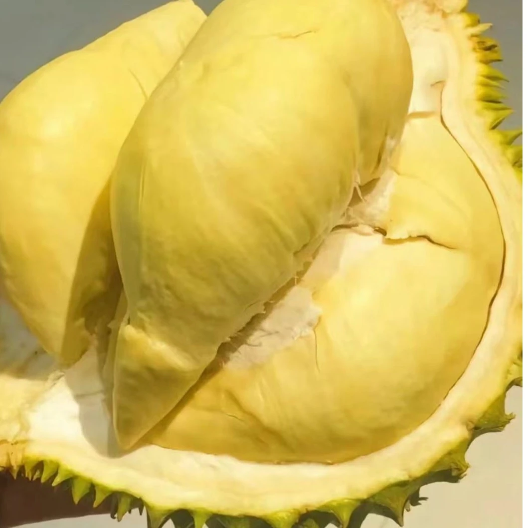 1【同城配送*一果一拍】金枕榴莲一个