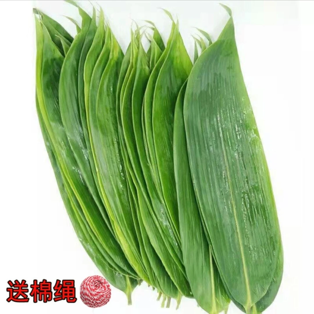 【端午专属】鲜粽叶100片（±5片）送粽绳