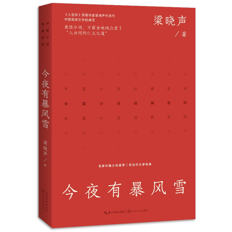 今夜有暴风雪 茅盾文学奖得主 《人世间》原著作者梁晓声代表作